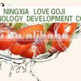 2015 Fresh Goji Berry thumbnail-1