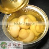 canned champignon mushroom of factory price