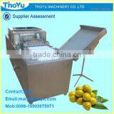 Olive Kernel Separating /Remover/ Seed Extracting Machine/ Separator/ Separating Machine(SMS: 0086-15903675071)