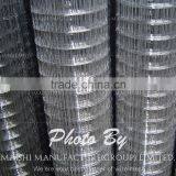 Electro Galvanized Welded Mesh