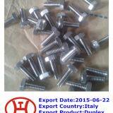Duplex Steel S32750 Hex Bolts thumbnail-1
