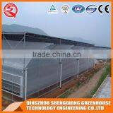 Walk in Greenhouse Plastic/greenhouse Steel Frame thumbnail-3
