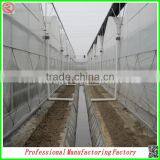 Commercial Plastic Vegetable Greenhouse for Sale With Seedbed thumbnail-3