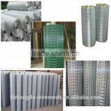 PVC Coated/Galvanized Welded Wire Mesh in Rolls For Construction