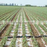 Watering Irrigation Pipe With PE Material thumbnail-1