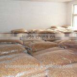 Organic Chicken Feed Mealworm ; Dried Mealworms Of Chicken Feed thumbnail-5