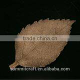 Artificial Oak Maple Leaf Shaped Resin Dry Fruit Tray thumbnail-2