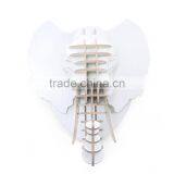Animal Figurines of Big Elephant Head For Home Or Hotel Decor thumbnail-5