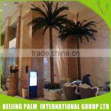 Vertical Garden Systems Types Of Date Palm Trees Artificial Plants thumbnail-3