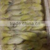 Illex Sqiud Roe thumbnail-2