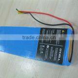 Safe Lithium 12V12AH Battery