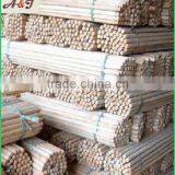 Broom Coconut Stick thumbnail-1