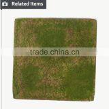 Hot New Product for 2015 Artificial Decorative Moss Mat thumbnail-2
