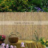 Reed Fence thumbnail-3