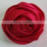 Rose thumbnail-1