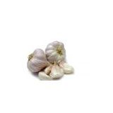 2012 Chinese new crop garlic seeds