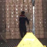 Chinese Cabbage thumbnail-4