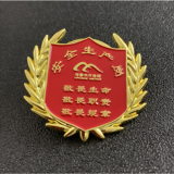 Enamel Badge Custom Badge Manufacturers Quickly Ship thumbnail-4