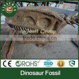 Lisaurus-LA Museum Animal Dinosaur Head Skeleton for Sale
