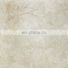 Mold Rought Matte Surface 600x600mm Nature Style High-end Glazed Rustic Porcelain Floor Tile thumbnail-2