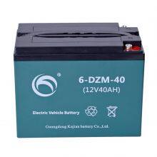 6-DZM-45 Electric Vehicle VRLA Battery 12V 45ah E-bike Battery CE PK Green Long Cycle Life 1 Year,1 Year 12.5KG