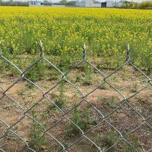 Customizable Chain Link Fence Replacement Panels Compatible With Existing Posts & Framework thumbnail-2