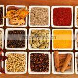 Indian Spices