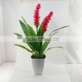 HIgh Simulation Ginger Flower Tropical Plants Artificial Plants Screen thumbnail-5