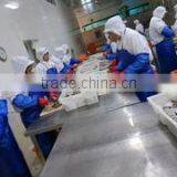 Ningbo Blue Whale Import & Export Co., Ltd. company overview - view 3 thumbnail