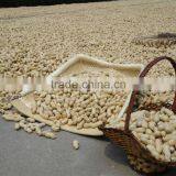 new products roasted peanut in shell peanut with shell peanuts in shell