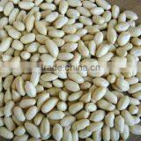 Ju'nan Country Best Quality Blanched Peanut 24/28 Size 25kg/ctn for Sale thumbnail-4