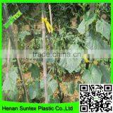Supper Hdpe Tomato /cucumber Plant Support Net thumbnail-4