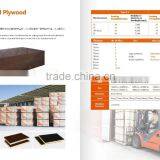 High Quality Quick Assembly Slab Formwork System With Ring Lock Scaffolding thumbnail-5