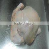 Frozen Halal Whole Chicken Without Head,neck,liver,feet thumbnail-2