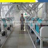 300 TPD Cassava Drying Machine in Nigeria