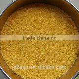 Organic Hulled Glutinous Yellow Millet for Vacuum Packing and Bulk thumbnail-4
