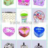 2015hot Sell Various New Style Custom Design Decorative Metal Tin Box for Gift Packaging