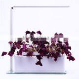 Leaves Flower Lamps thumbnail-1