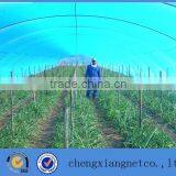Green House Used HDPE Polytunnel Covers