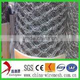 Lowest Price Chicken Wire Mesh thumbnail-2