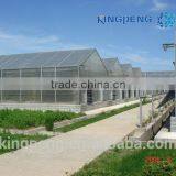 Polycarbonate Greenhouse thumbnail-3
