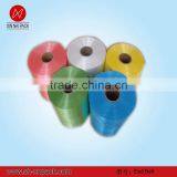 Polyethylene End Belt