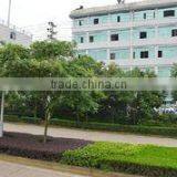 Yongkang Yangming Industry & Trade Co., Ltd. company overview - view 1 thumbnail