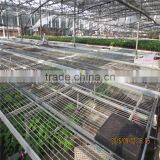 Plastic Green House for Vegetable/Flower Raising thumbnail-3