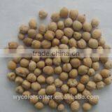 Chick Peas Color Sorting Machine From Anhui Wenyao thumbnail-2
