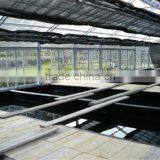 Multi-Span Greenhouse With Aquaponics Growing Systems For Agricultural Planting thumbnail-2