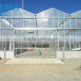 Low Cost Glass Covering Agricultural Greenhose thumbnail-5