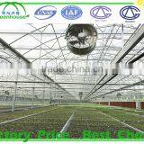 Agricultural Glass Greenhouse for Sale thumbnail-5
