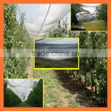 Factory supply white color Apple Tree Anti Hail Net