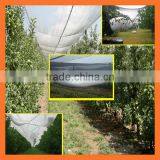Apple Tree Anti Hail Net, Hail Protection Net thumbnail-1